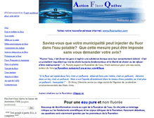 Tablet Screenshot of fluoraction.com